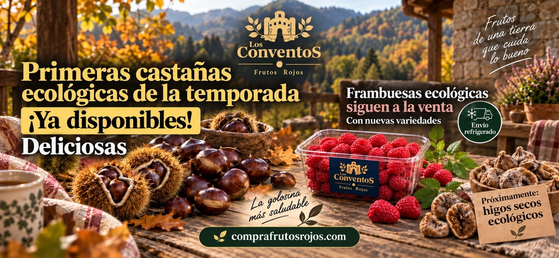 banner promoción castañas
