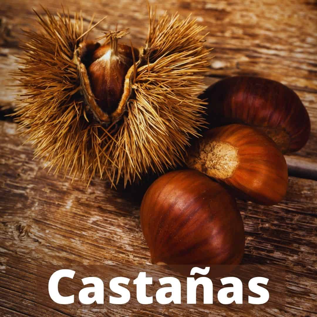 Las castañas y su método de conservación
