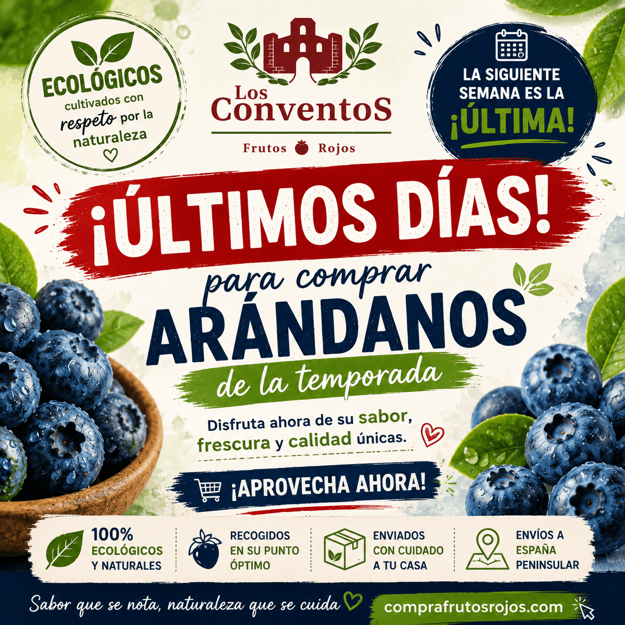 ultimos días de arándanos