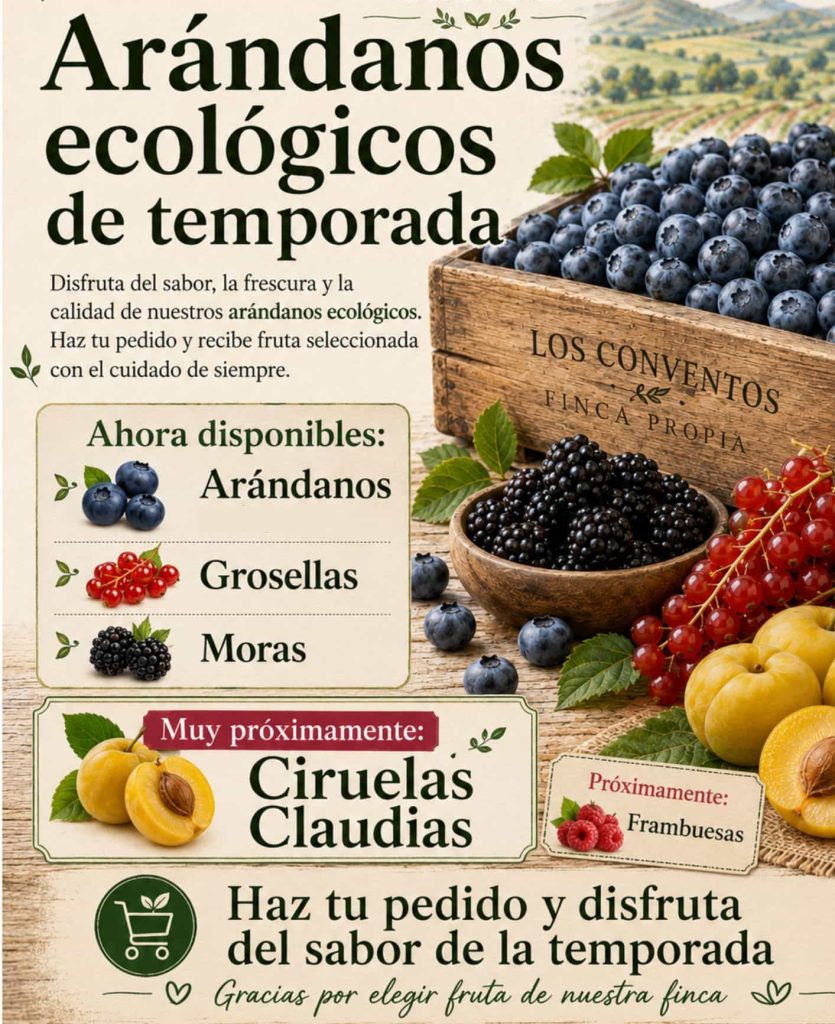 promo arandanos