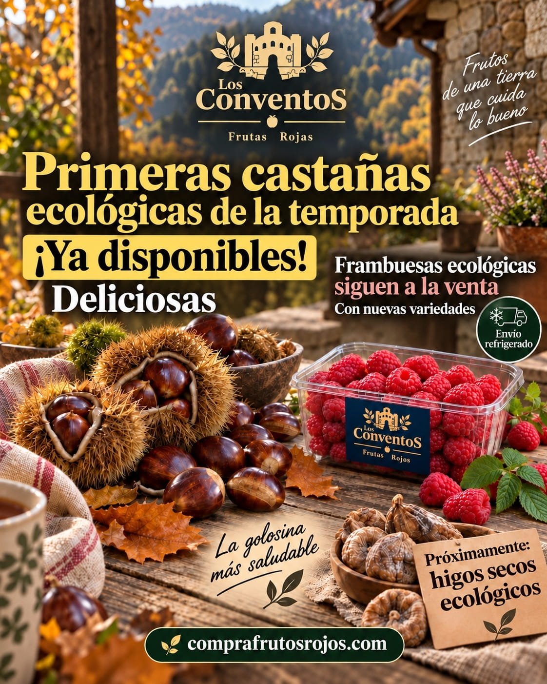 promoción castañas ecológicas