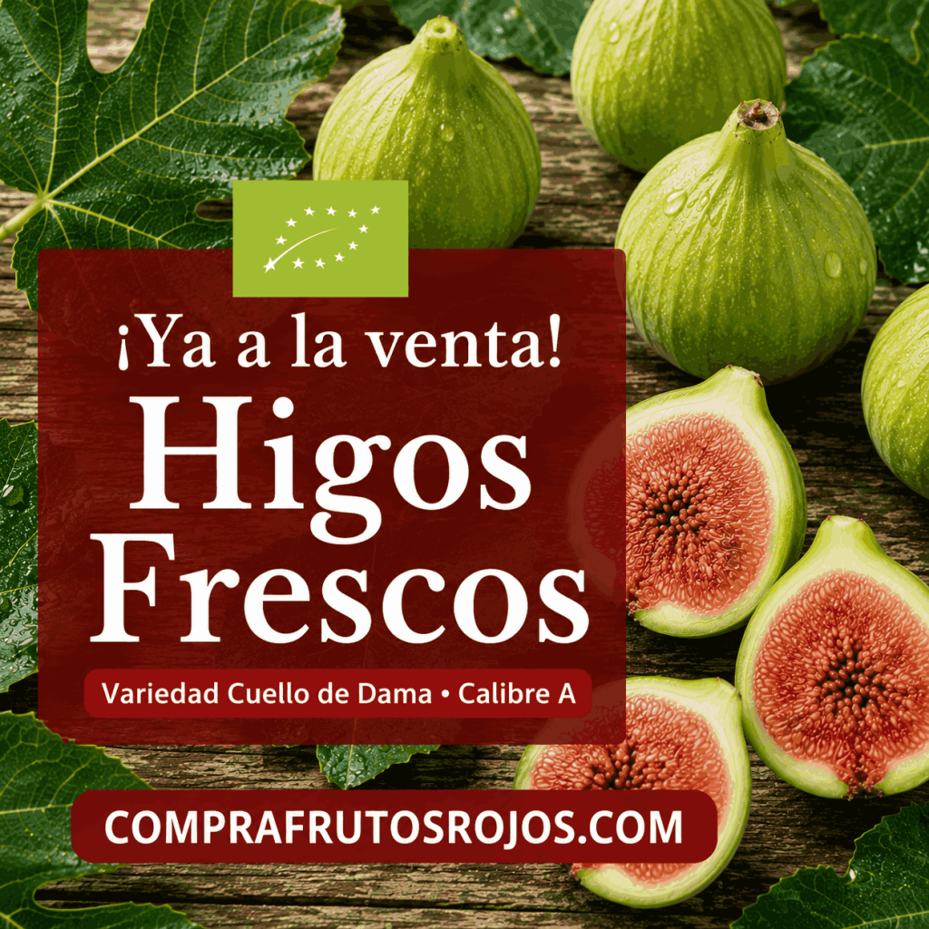 higos frescos - a la venta