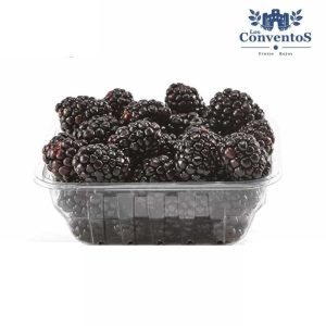 moras frescas de la marca los conventos, las mejores moras del mercado